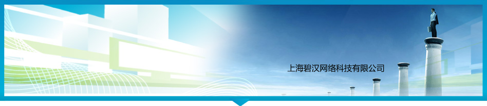 上海彩豆網絡科技有限公司