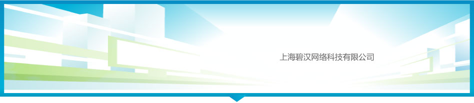 上海彩豆網絡科技有限公司